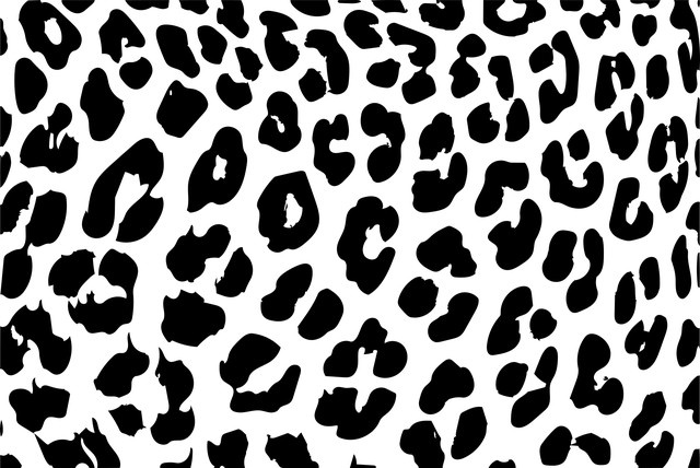 Leopard vs Cheetah Print