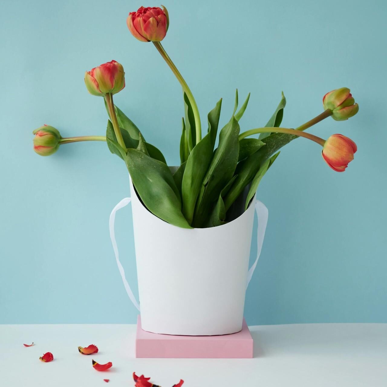 Tulip vase