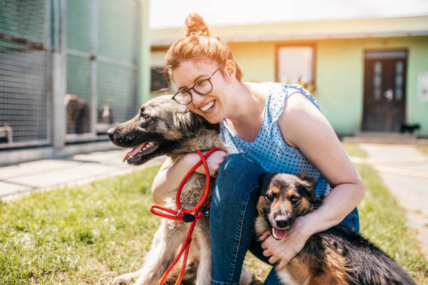 Twin Falls Animal Shelter