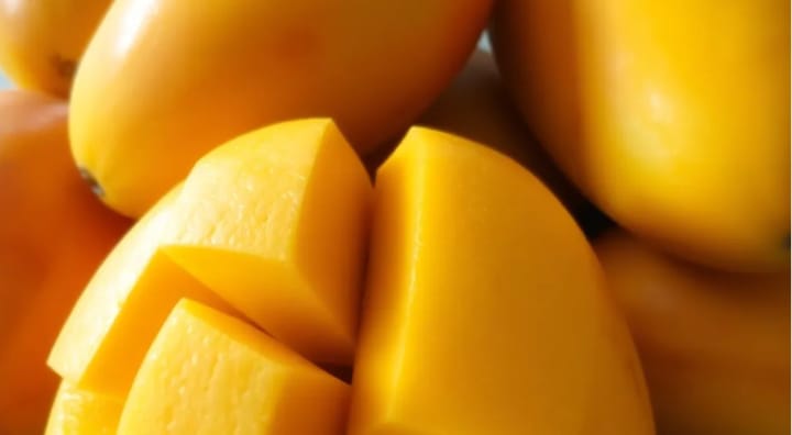 When Are Mangos in Season