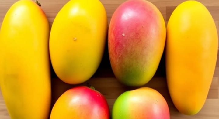 When Are Mangos in Season