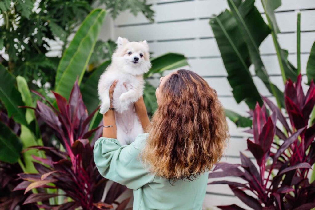 Cat in plants