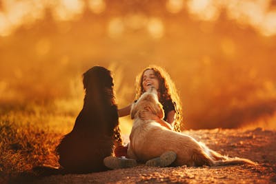 childrens with dogs