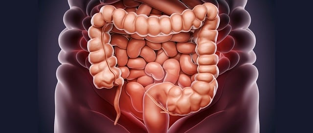 Colon Hydrotherapy