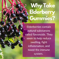 elderberry gummies