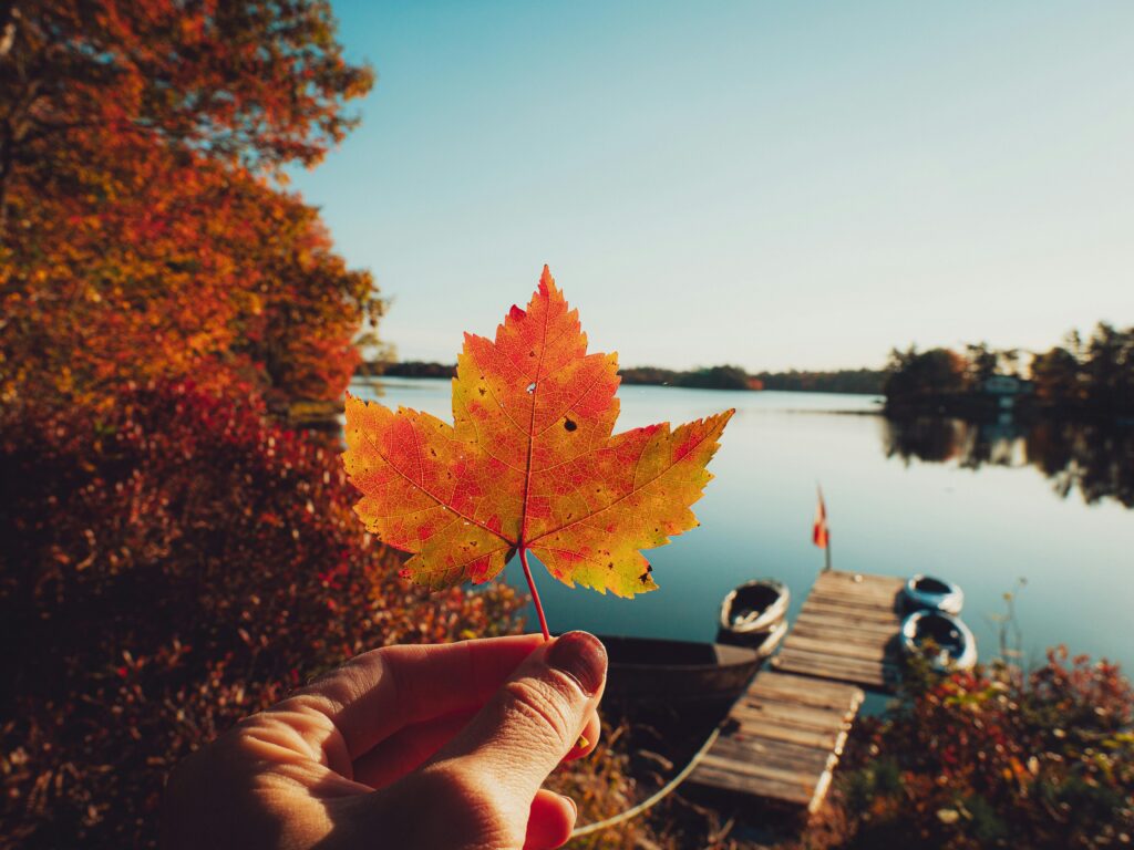 Watson Lake Canada showcasing natural beauty and iconic landmarks.