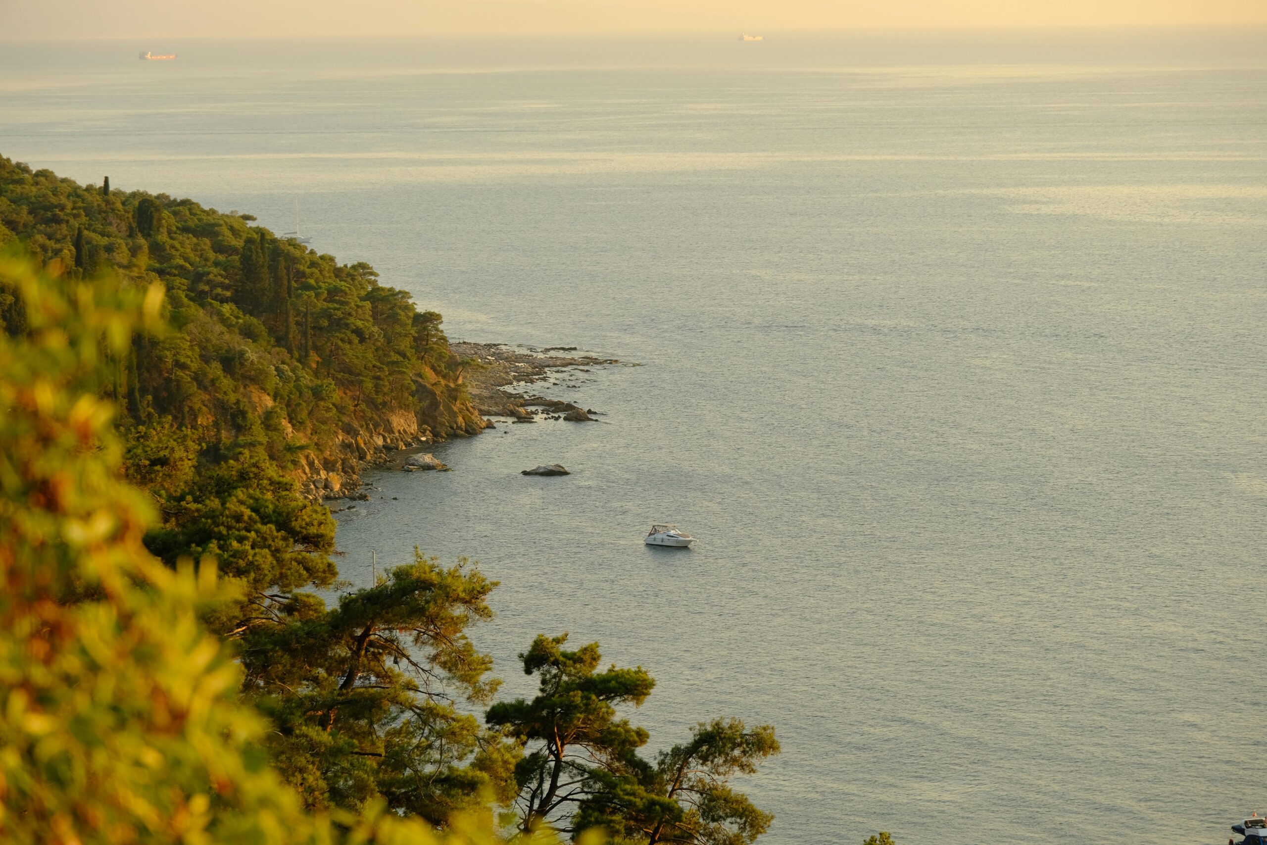  The eerie ruins and lush landscape of Devil's Island in French Guiana