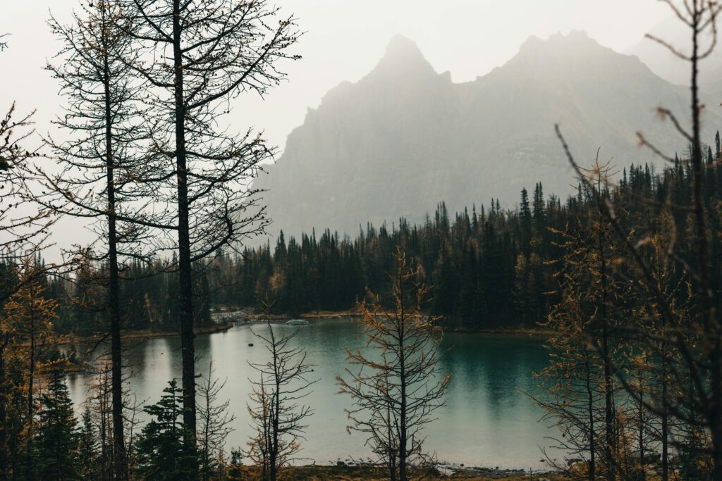 Watson Lake Canada showcasing natural beauty and iconic landmarks.