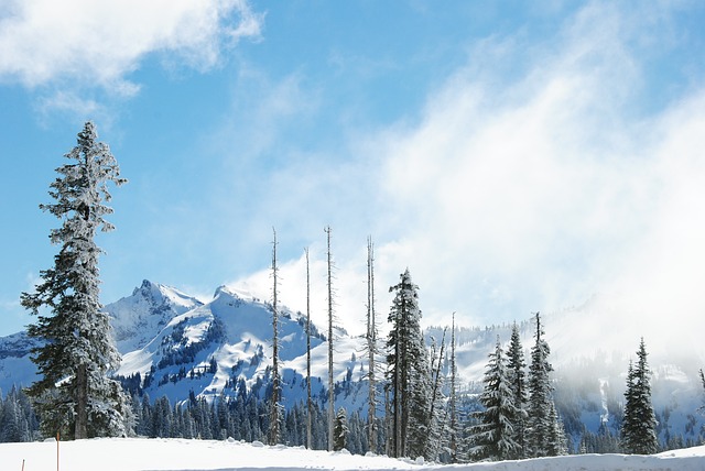 Discovering Mount Rainier National Park