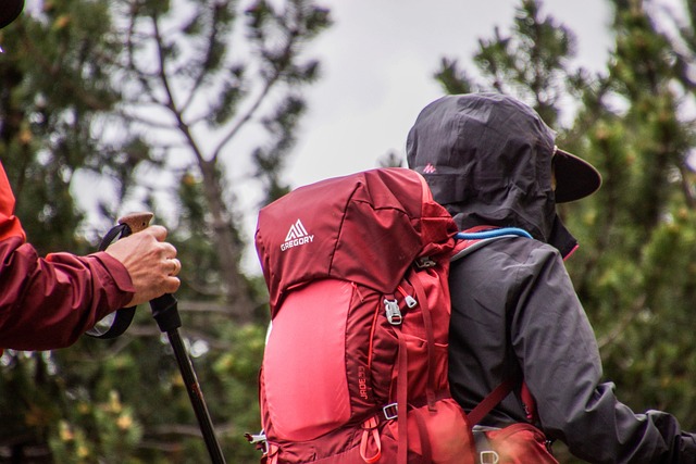 Trekking in North Cascades National Park