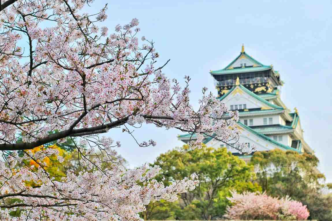 Day trips from Osaka